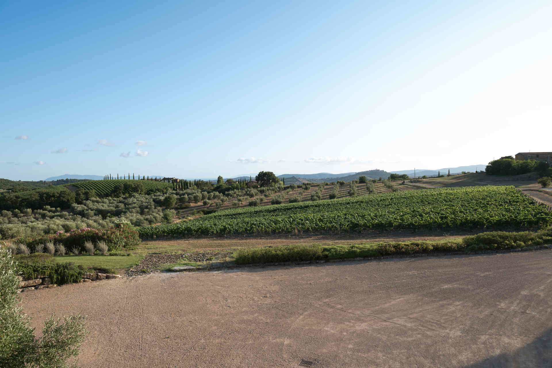Weingut Azienda Agricola Purovino, Foto beigestellt