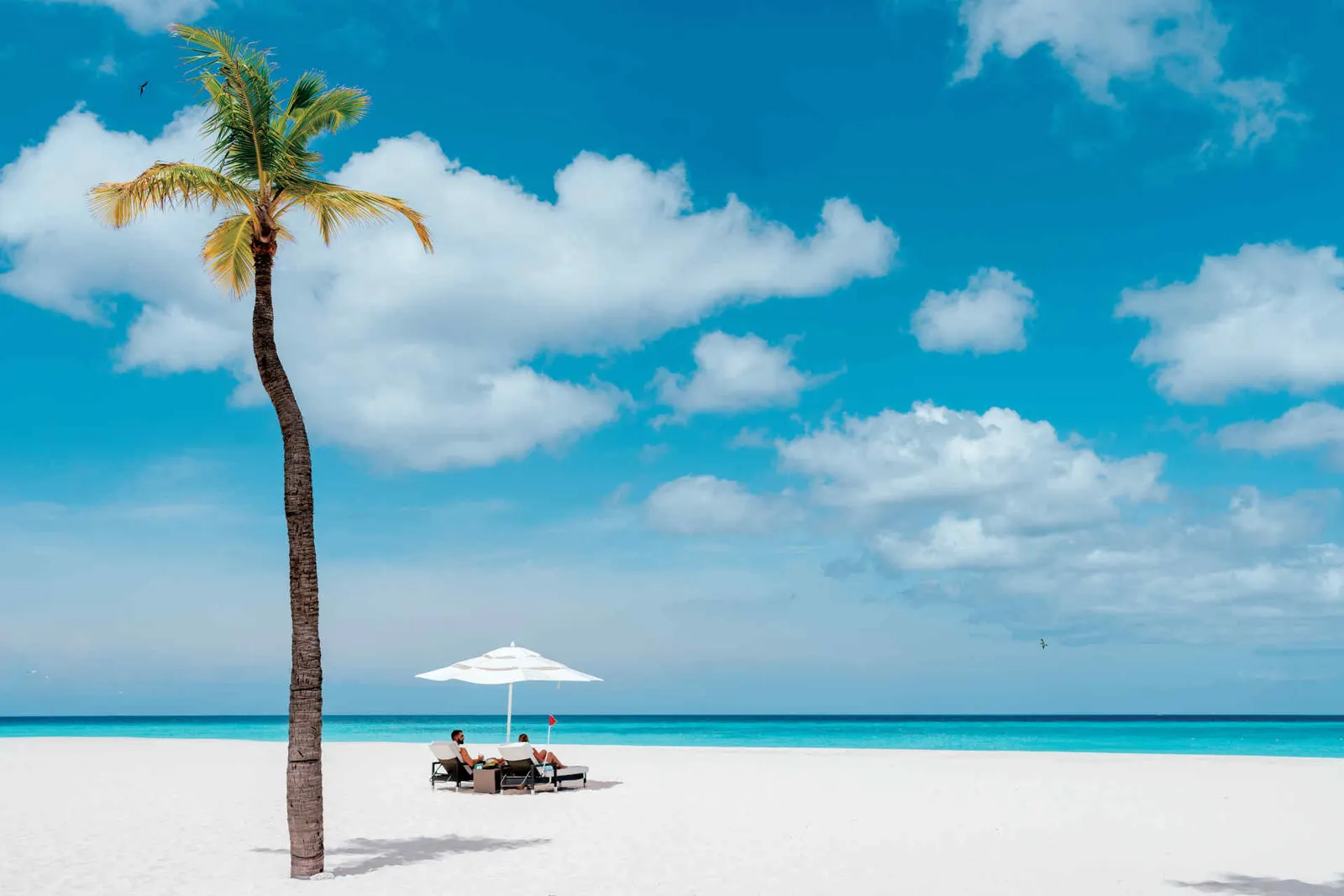 © Bucuti & Tara Beach Resort