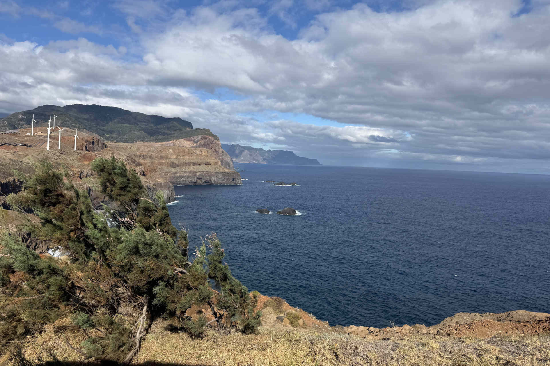 Wildes Madeira