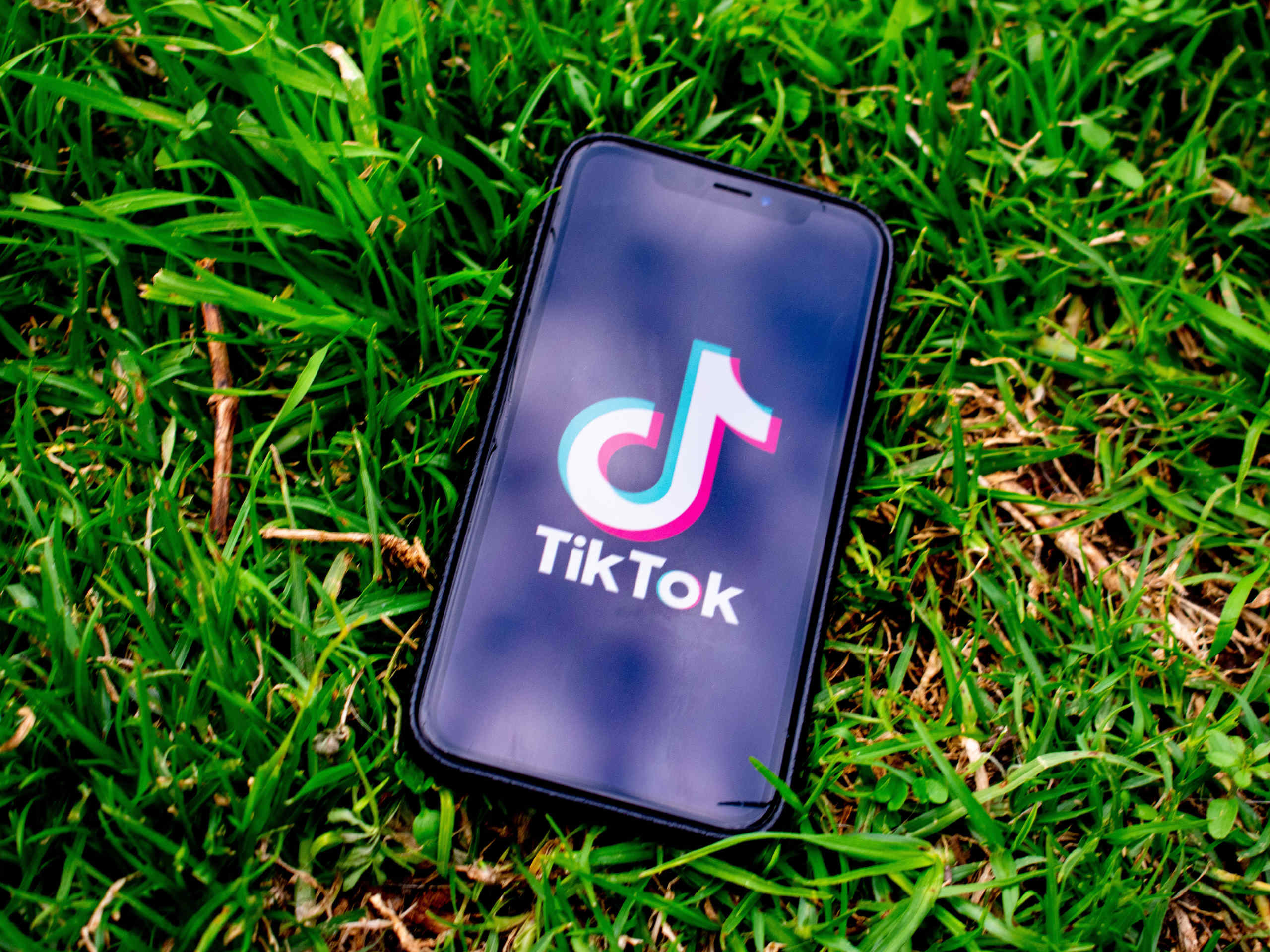TikTok als Marketing-Tool Foto beigestellt