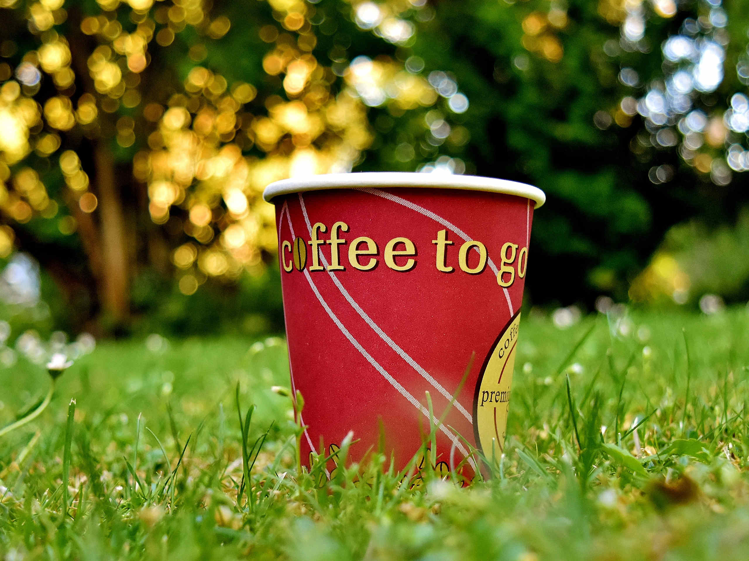 Seit Covid wird nicht mehr nur gerne der Kaffee zum Take away. © Alexa / Pixabay