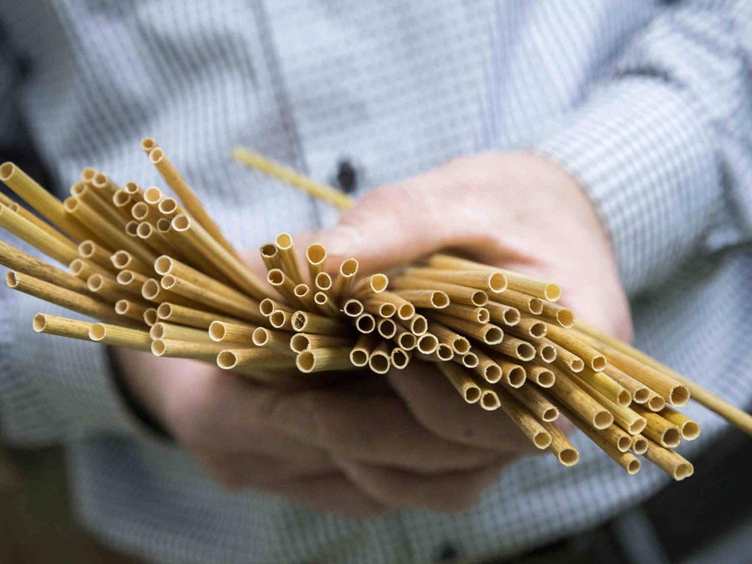 Trinkhalme können aus nachhaltigem Material hergestellt werden. Foto beigestellt