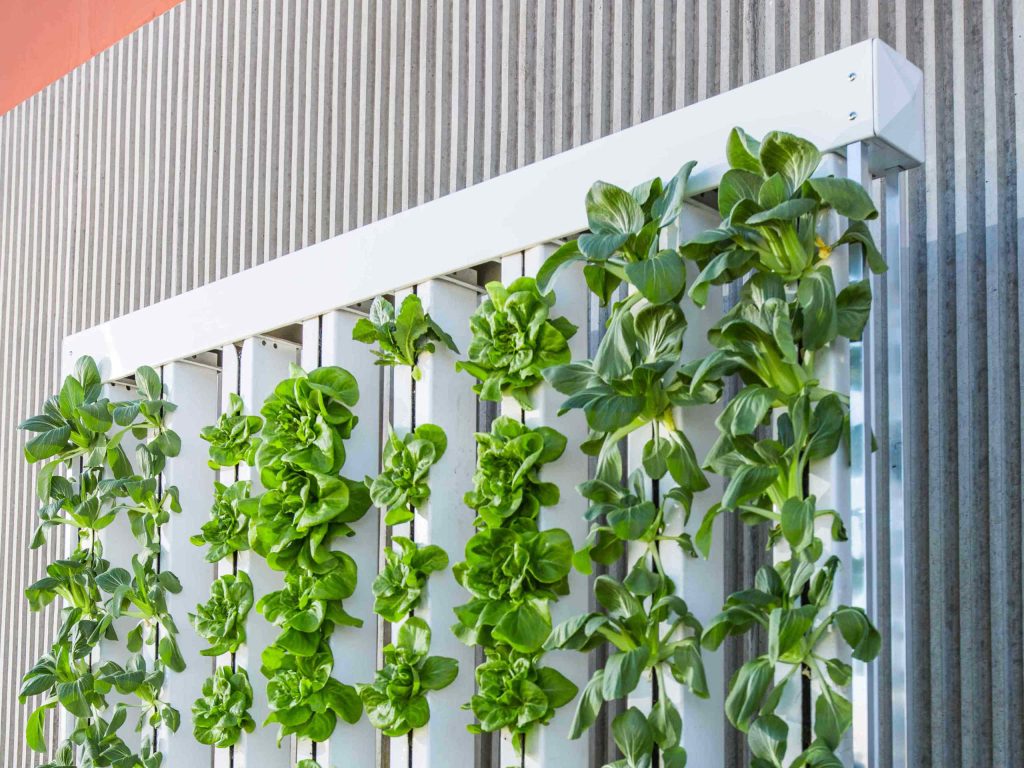 Vertical Farming Foto beigestellt