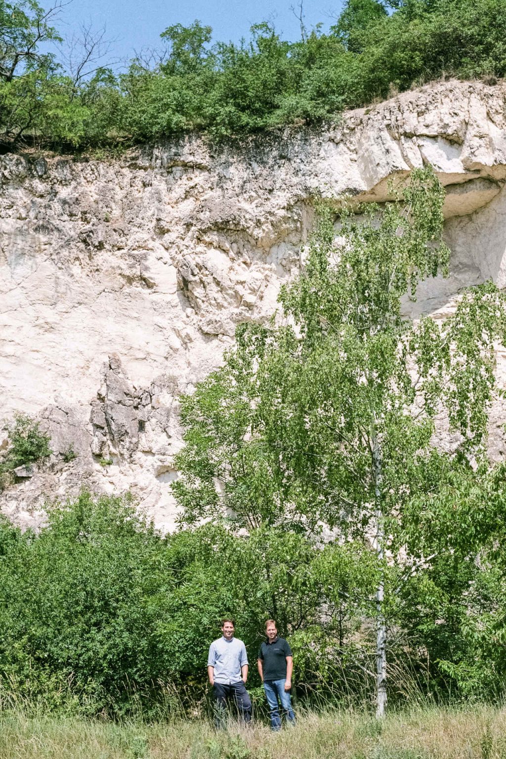 Die Weine sind tief im Kalk verwurzelt. © Weingut Pesau