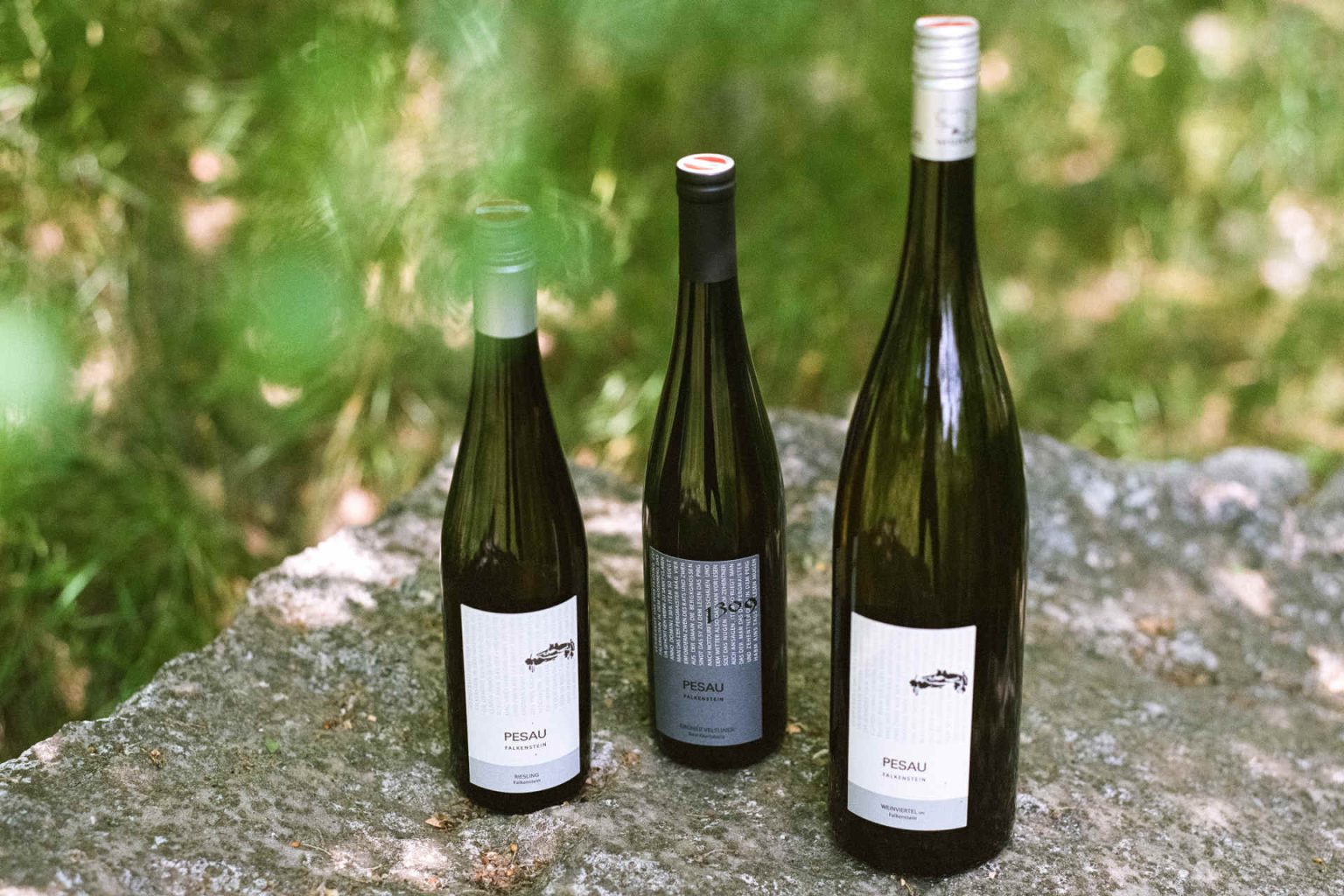 Terroir schlägt Sorte. © Weingut Pesau