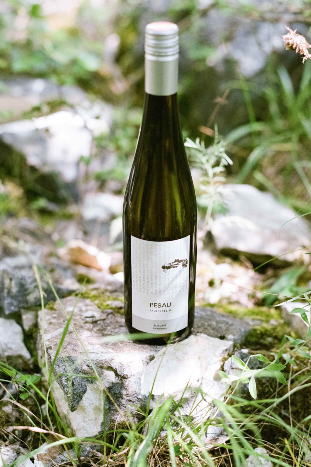 Im Sortenspiegel des Weinguts ist auch Riesling. © Weingut Pesau