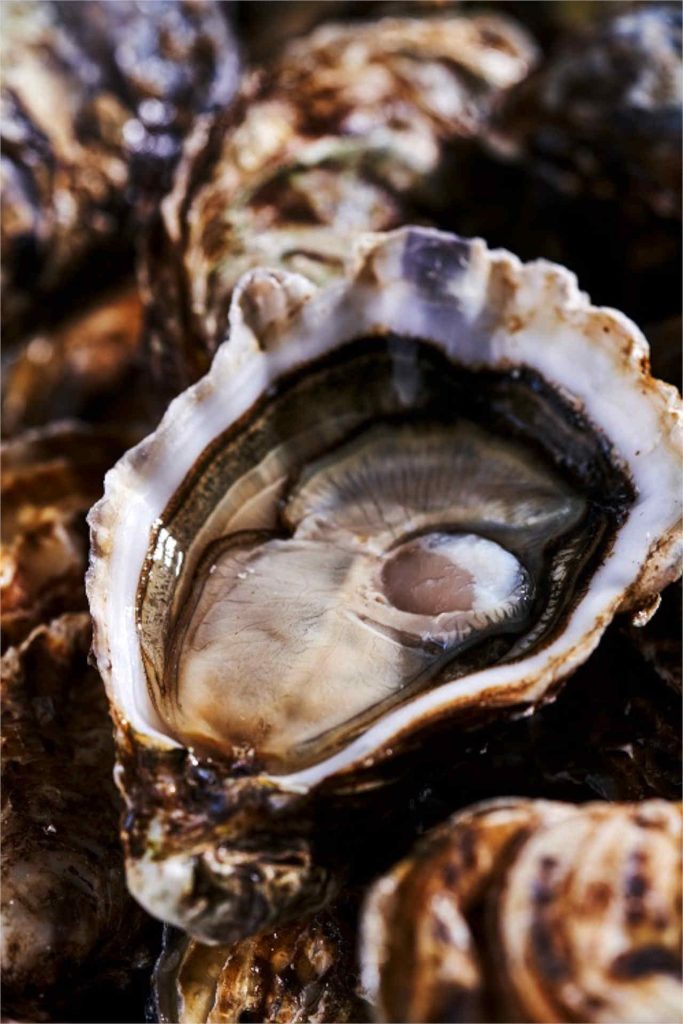 Austern Gillardeau Nr2 © R Express