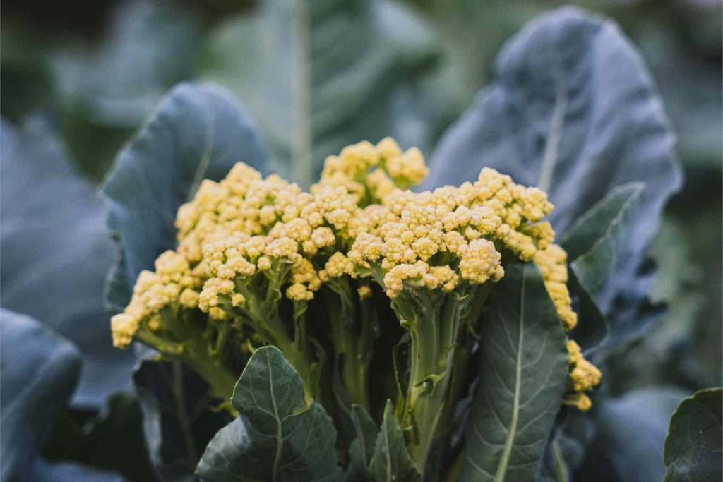 © Illustrationen freepik