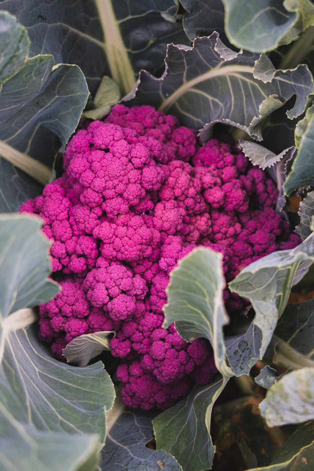 © Illustrationen freepik