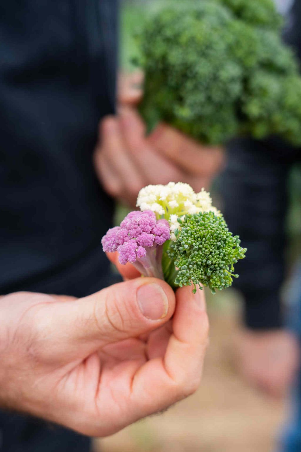 © Illustrationen freepik