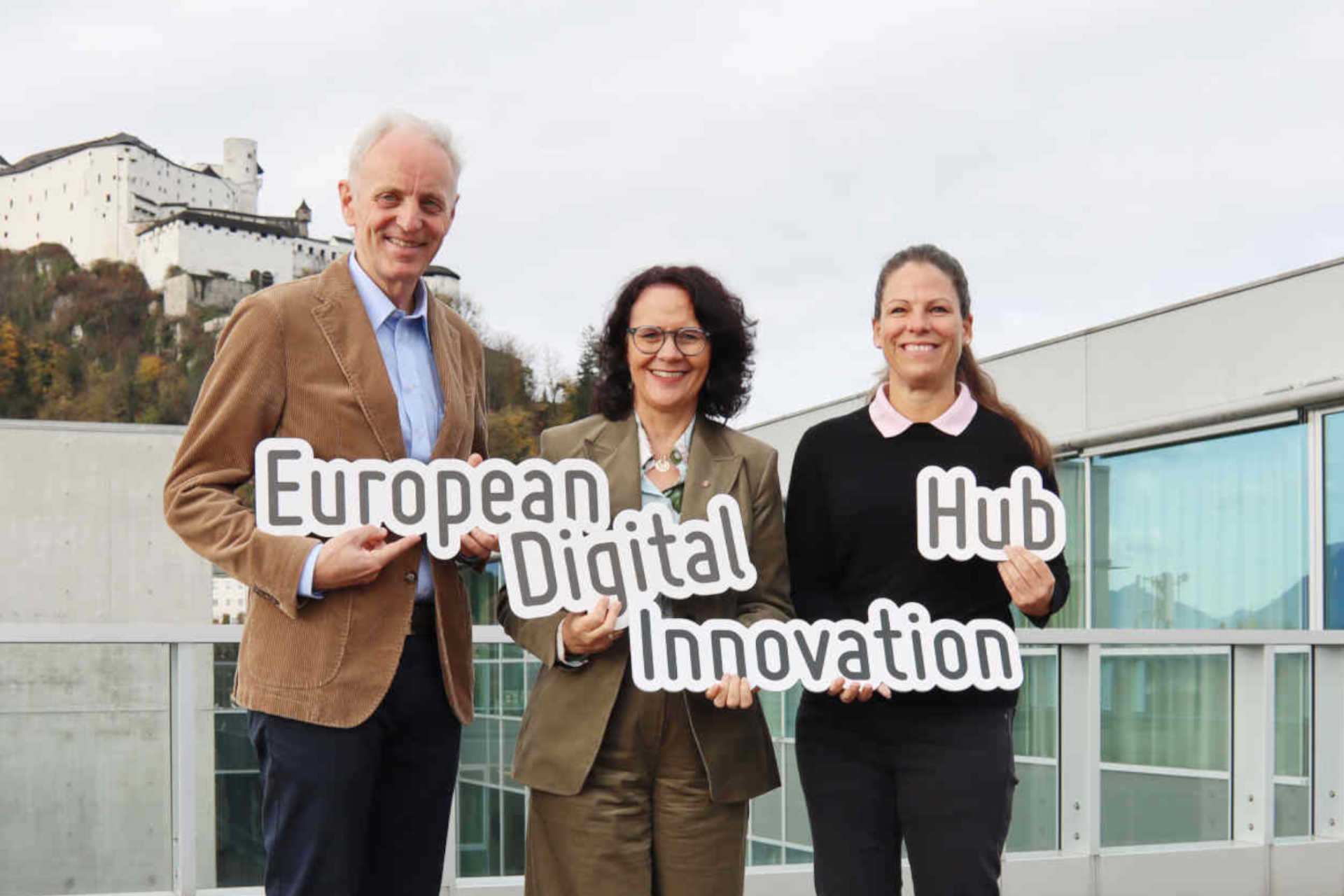 EDIH Crowd in Motion © Salzburg Research