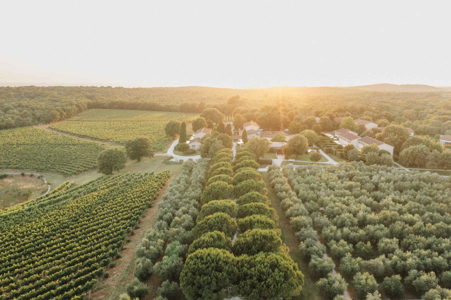© Meneghetti Wine Hotel & Winery