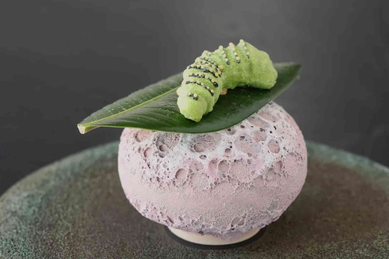 „Raupe“: Kerbel Sorbet – Cookie – Nobilis-Tanne © Helge Kirchberger Photography