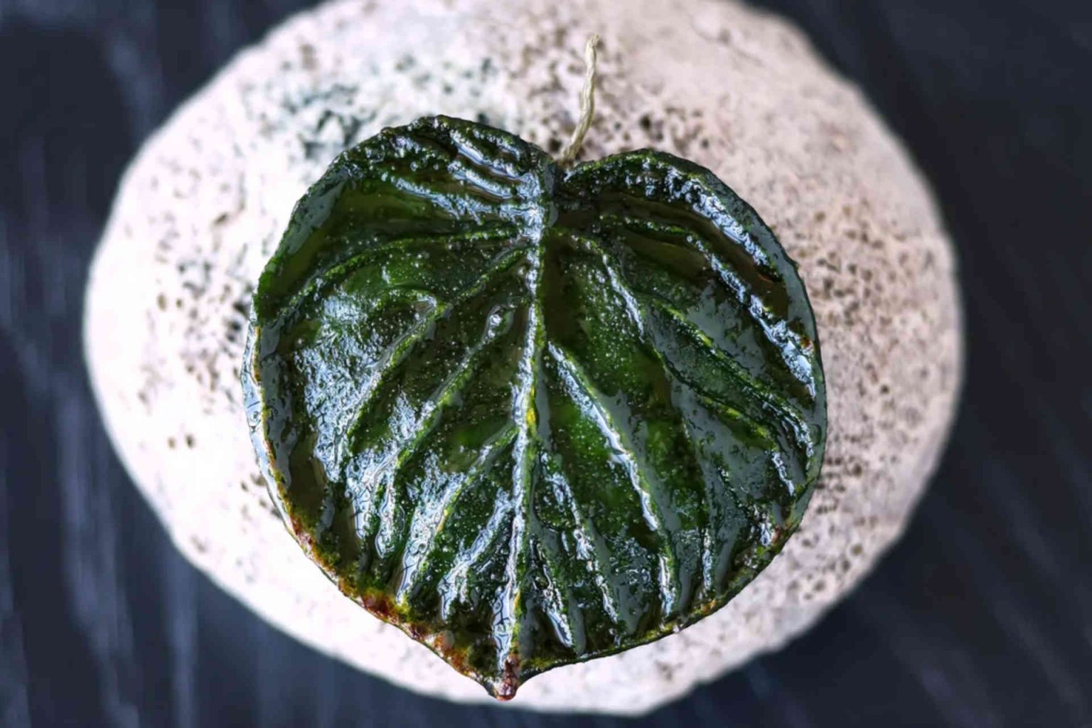 „Gegrilltes Blatt“ – Zucchini – Birne – Wipfel © Helge Kirchberger Photography